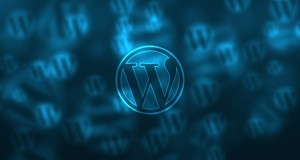 The Beginner’s Guide to WordPress SEO