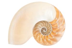 How to Write Shell Scripts with JavaScript