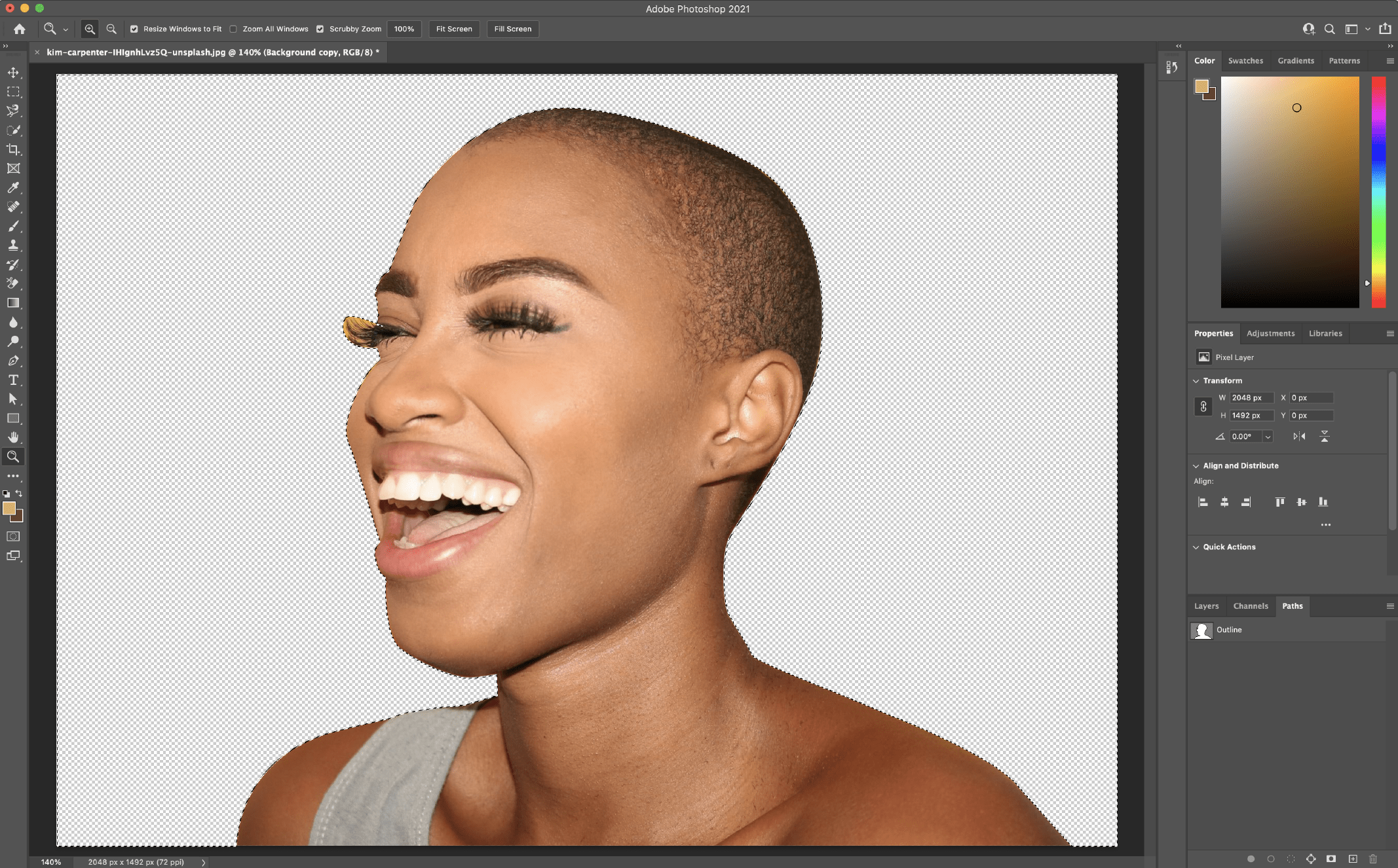 Remove a background in Photoshop using the Pen Tool 4