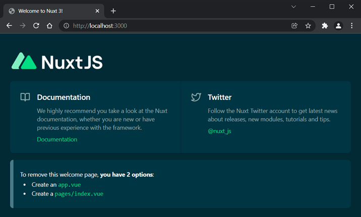Nuxt starter project home page